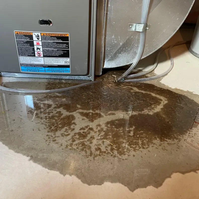 Appliance Leak Cleanup in Wallace, NC